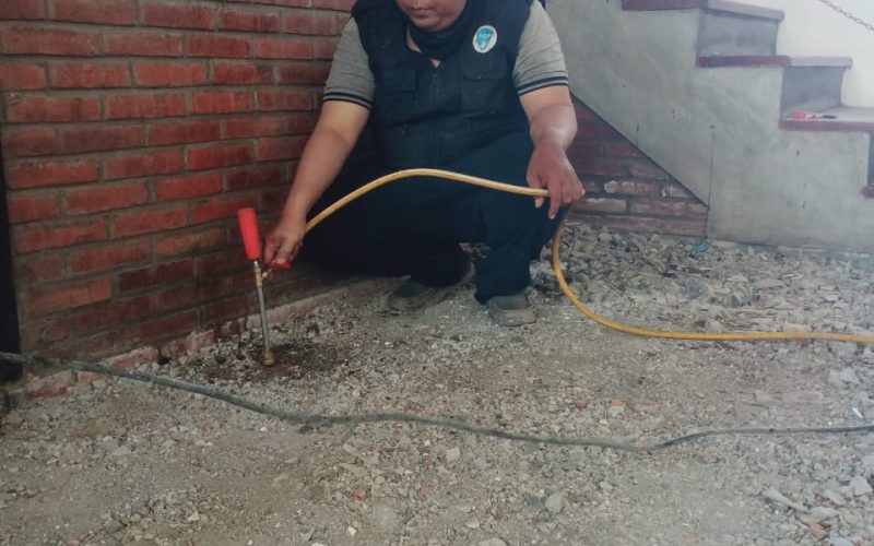 Jasa Basmi Rayap di Sidoarjo